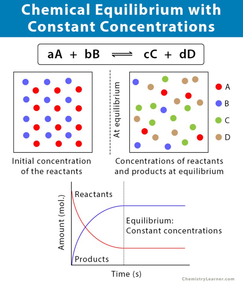 Equilibrium Teach Kids Chemistry